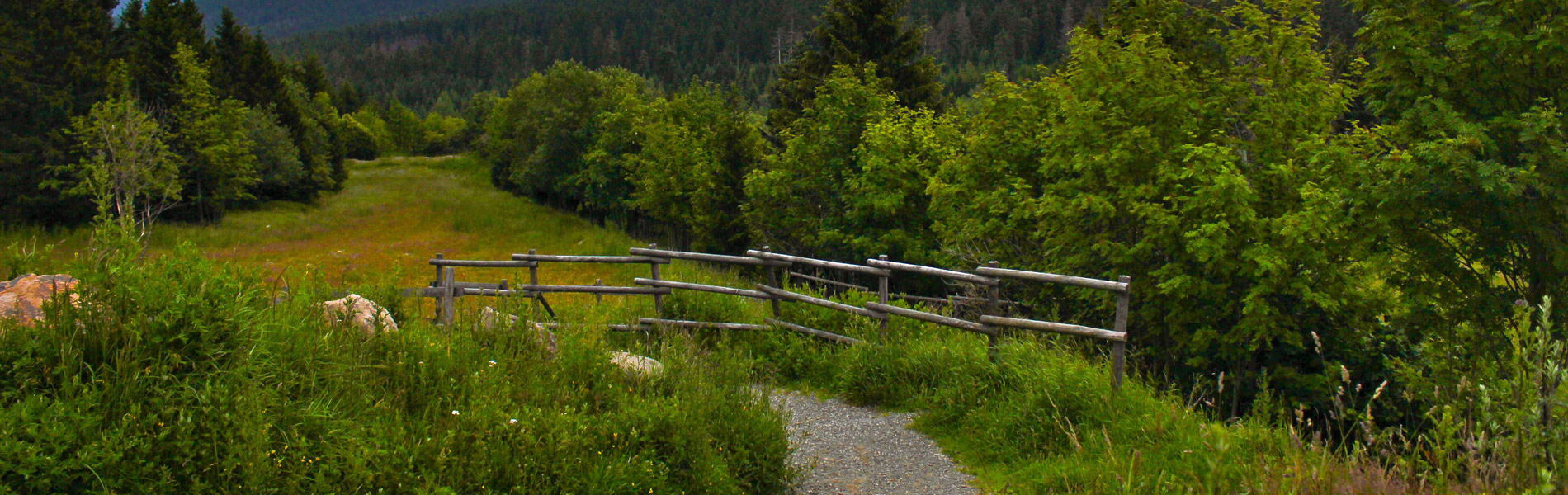 Pension & Restaurant Am Felsen im Harz am Brocken - Urlaub im Harz - wwww.am-felsen.de