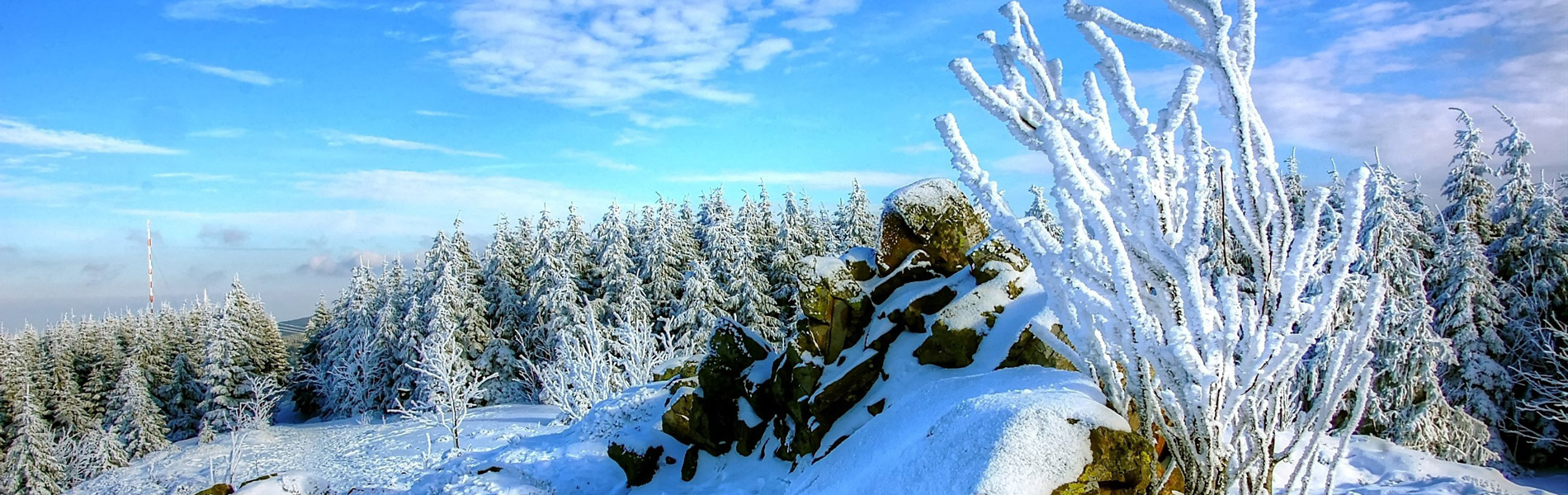 Pension & Restaurant Am Felsen im Harz am Brocken - Urlaub im Harz - wwww.am-felsen.de