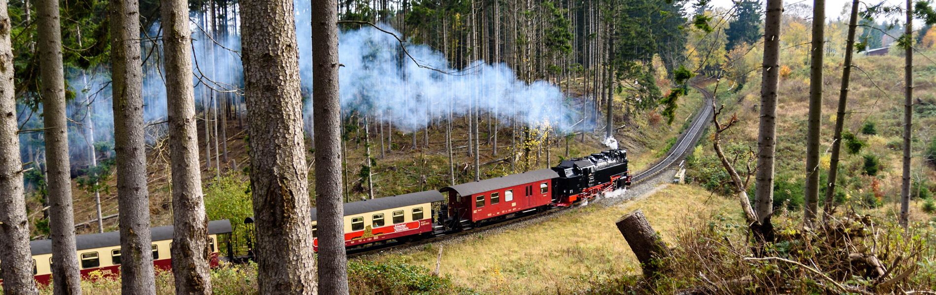 Pension & Restaurant Am Felsen im Harz am Brocken - Urlaub im Harz - wwww.am-felsen.de