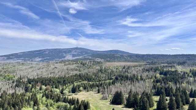 Blick vom Torfhaus zum Brocken