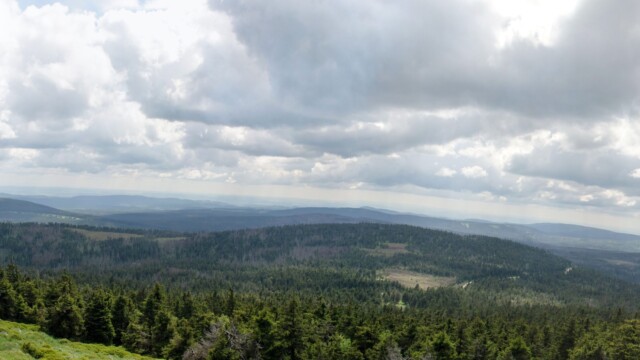 Blick über den Harz