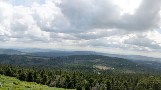 Blick in den Harz
